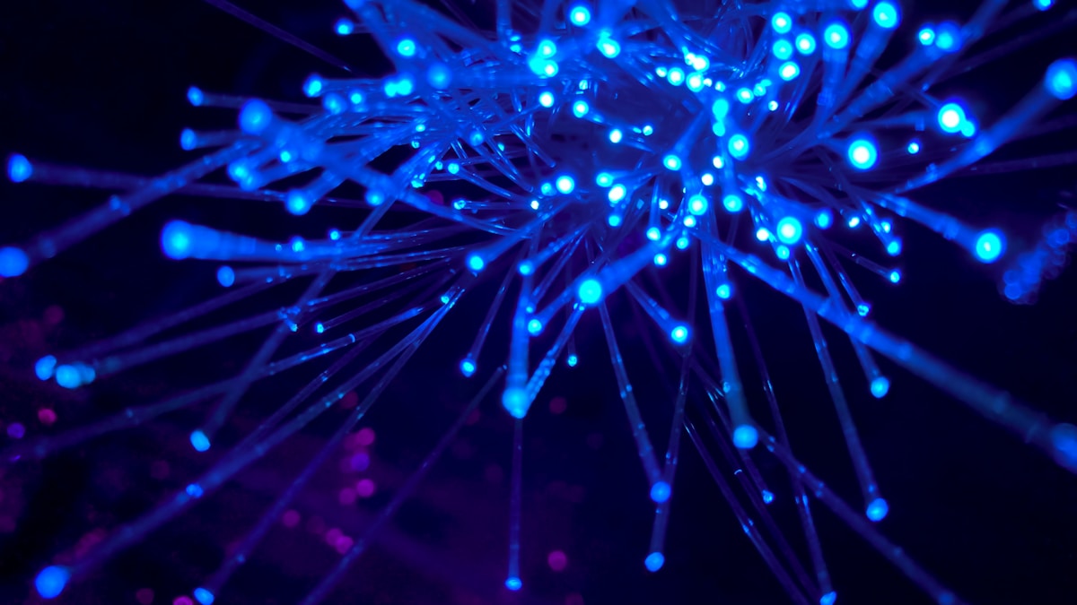 Federated Learning for Federal Data Silos