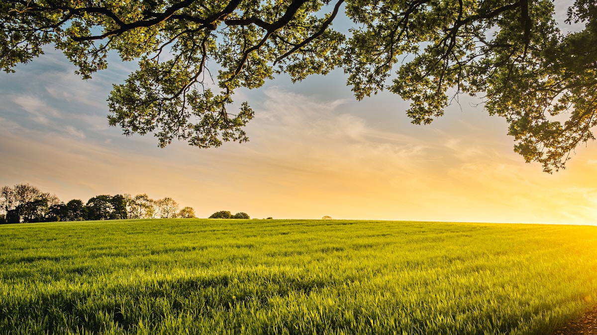 USDA SBIR: How the Rural Innovation Pipeline Works