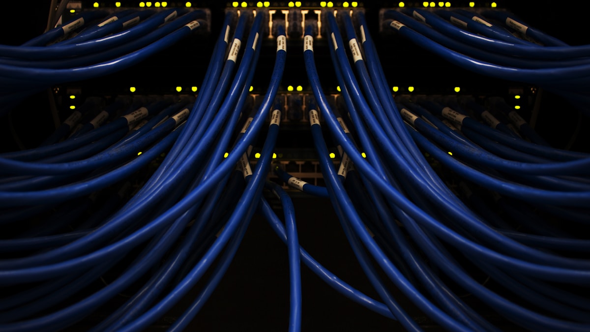 Vector Database Selection for Federal AI