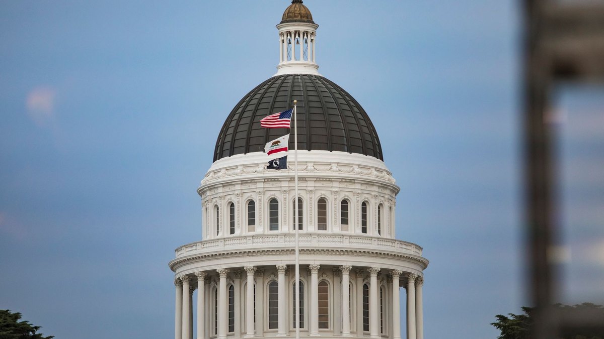 Reseller or build partner: how commercial firms enter federal